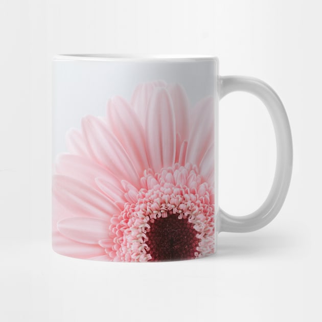 Simple Pink Daisy by NewburyBoutique